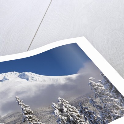 winter snow adds beauty to Mt. Hood, Oregon. Oregon Cascades. by Anonymous