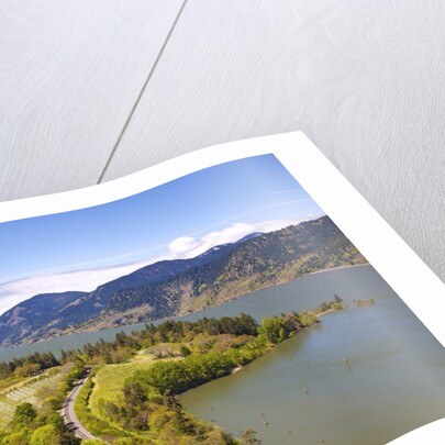 view point looking west down Columbia River Gorge from Ruthton Park. Hood River, Oregon, Columbia Ri by Anonymous