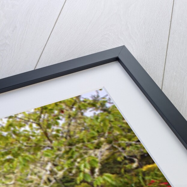 Shore Acres State Park, Coos Bay Oregon, South Oregon Coast. Pacific Northwest. by Anonymous