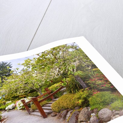 Shore Acres State Park, Coos Bay Oregon, South Oregon Coast. Pacific Northwest. by Anonymous