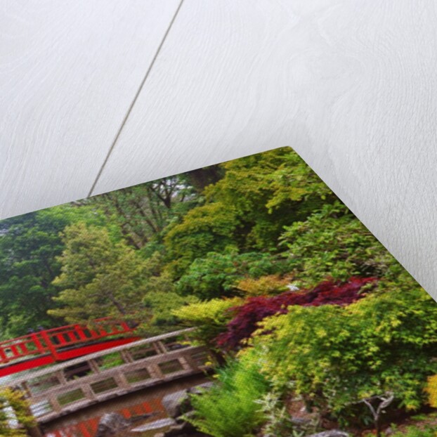 spring time at Mingus Park, Coos Bay, South Oregon Coast, Pacific Northwest. by Anonymous