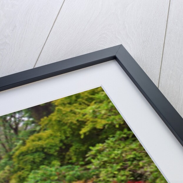 spring time at Mingus Park, Coos Bay, South Oregon Coast, Pacific Northwest. by Anonymous