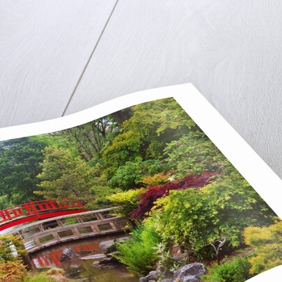 spring time at Mingus Park, Coos Bay, South Oregon Coast, Pacific Northwest. by Anonymous