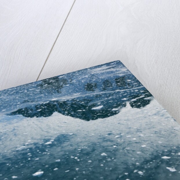 Arctic Ice, Svalbard by Anonymous
