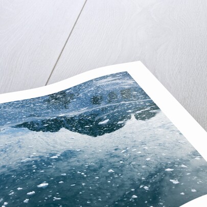 Arctic Ice, Svalbard by Anonymous