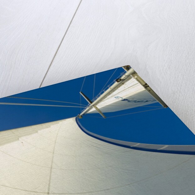 Expedition Yacht, Svalbard, Norway by Anonymous