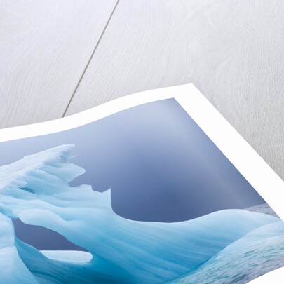 Arctic Ice, Svalbard by Anonymous