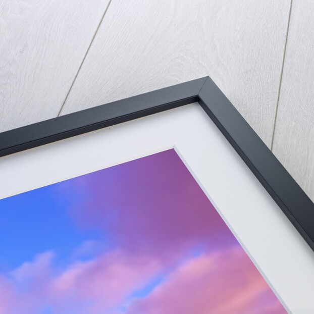 sunrise North Head Lighthouse, Washington State, Pacific Ocean, Pacific Northwest. by Anonymous