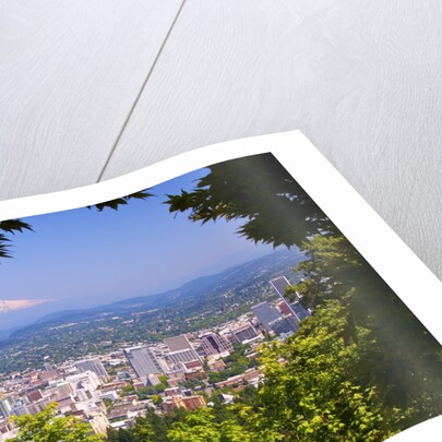 Mt.Hood from Pittock Mansion. Portland Oregon. Pacific Northwest. by Anonymous