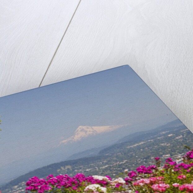 rose garden adds beauty to Mt.Hood from Pittock Mansion. Portland Oregon. Pacific Northwest. by Anonymous