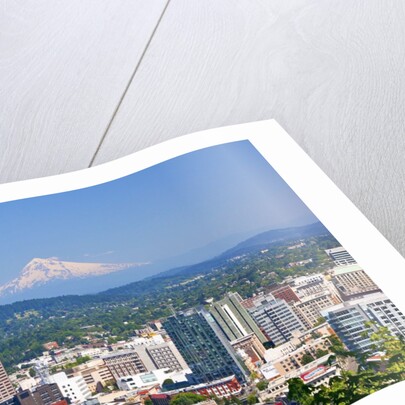 Mt.Hood over Portland skyline from West Hills. Portland Oregon. Pacific Northwest. by Anonymous