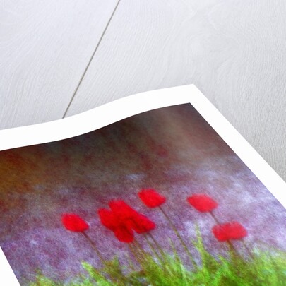 Red tulips by Anonymous