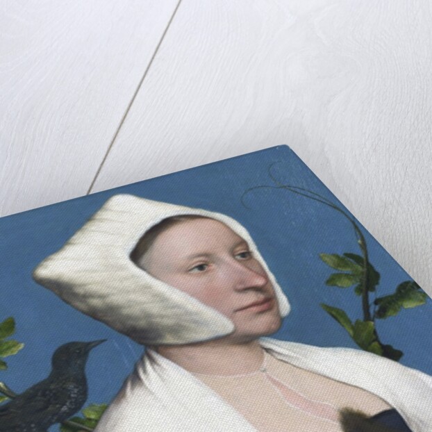 Lady with a Squirrel and a Starling by Hans Holbein The Younger