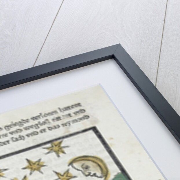 Woodcut illustration from Medieval book by Anonymous