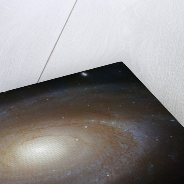 M81 Spiral Galaxy by Anonymous