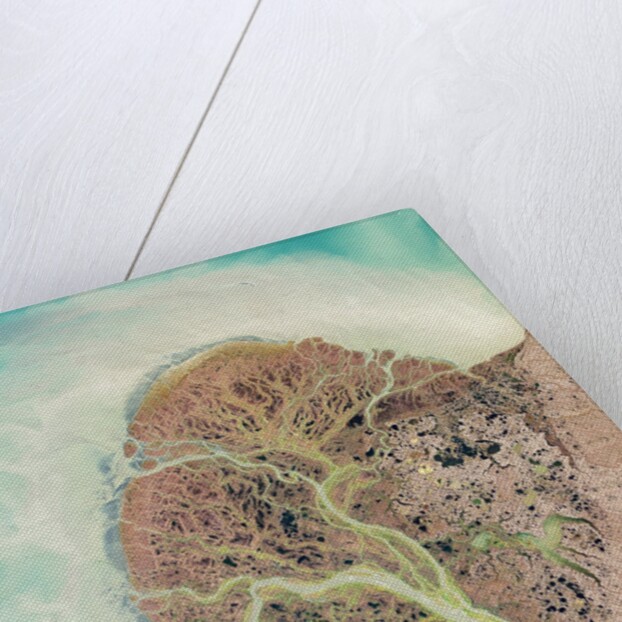 Yukon River Delta, Alaska by Anonymous