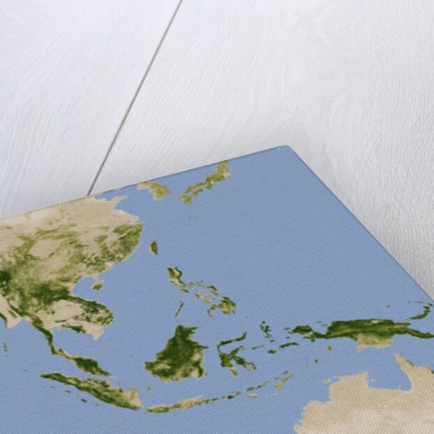 Carbon Stored in Tree Biomass in Tropical Asia by Anonymous