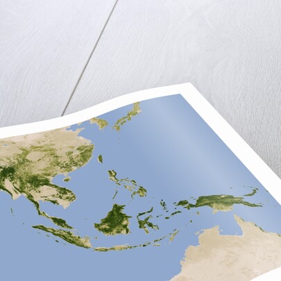 Carbon Stored in Tree Biomass in Tropical Asia by Anonymous