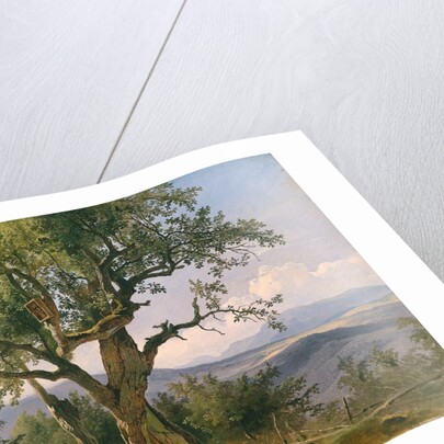 The Old Tree by Friedrich Gauermann
