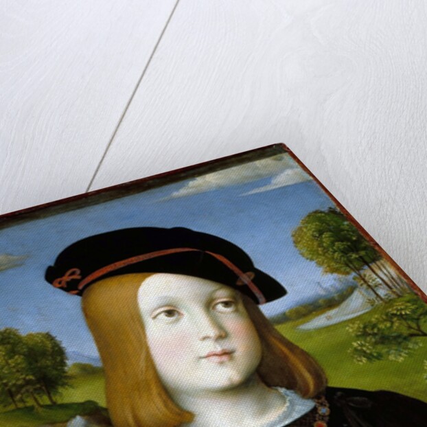 Federigo Gonzaga by Francesco Francia