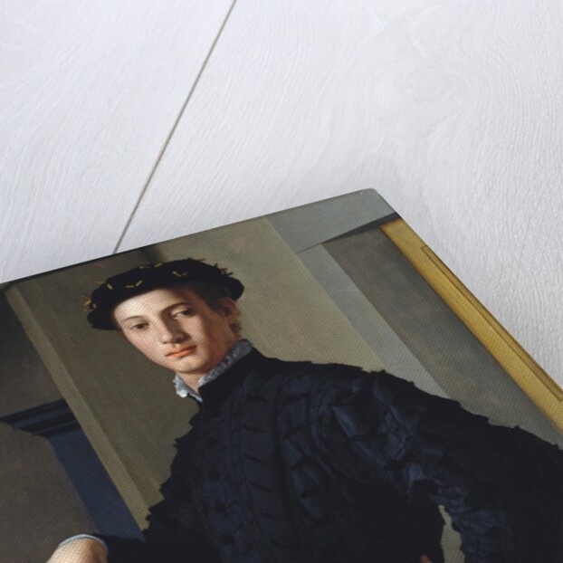 Portrait of a Young Man by Agnolo Bronzino