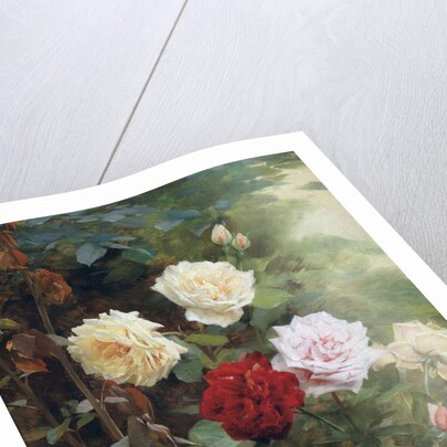 Roses by Gustave Bienvetu