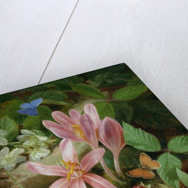 Autumn Flower with Blackberries by Josef Lauer