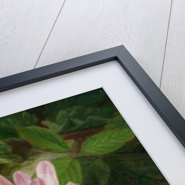 Autumn Flower with Blackberries by Josef Lauer