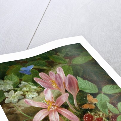 Autumn Flower with Blackberries by Josef Lauer