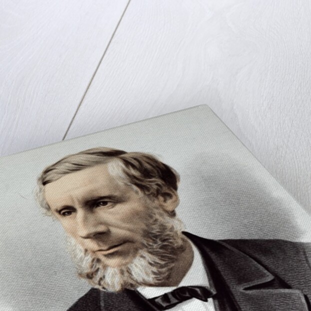 Professor John Tyndall FRS by Anonymous