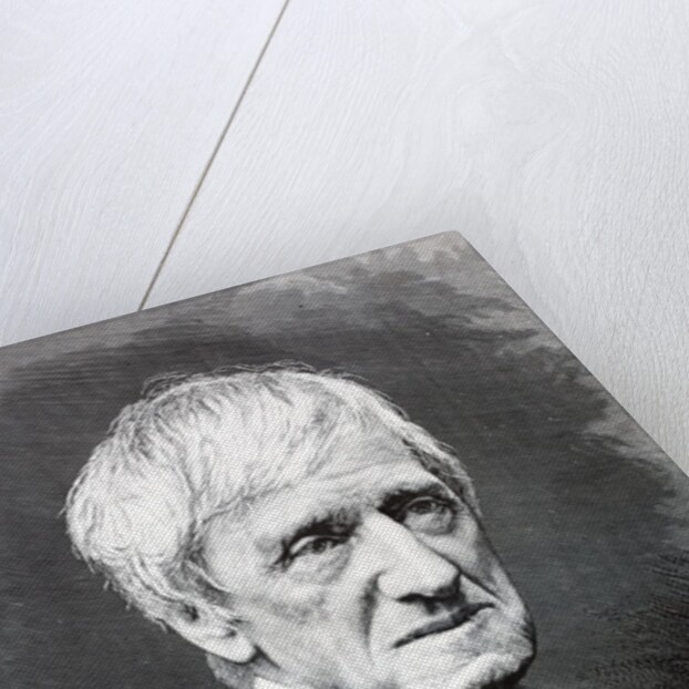 Cardinal Newman by Anonymous