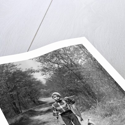 1950s boy beagle puppy walking down country road whistling carrying fishing pole pail fish by Anonymous