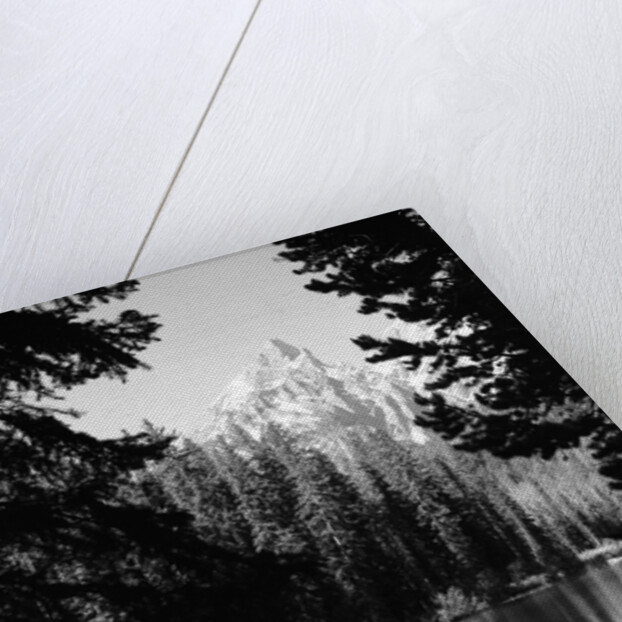 1960s man fishing holding net and rod wyoming grand teton national park string lake by Anonymous