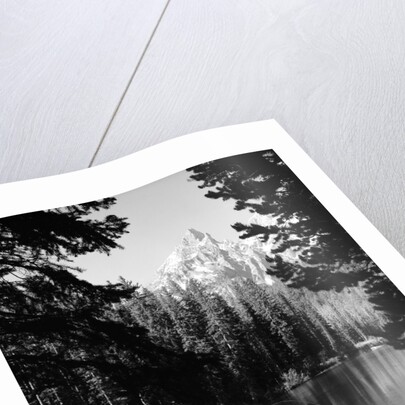 1960s man fishing holding net and rod wyoming grand teton national park string lake by Anonymous