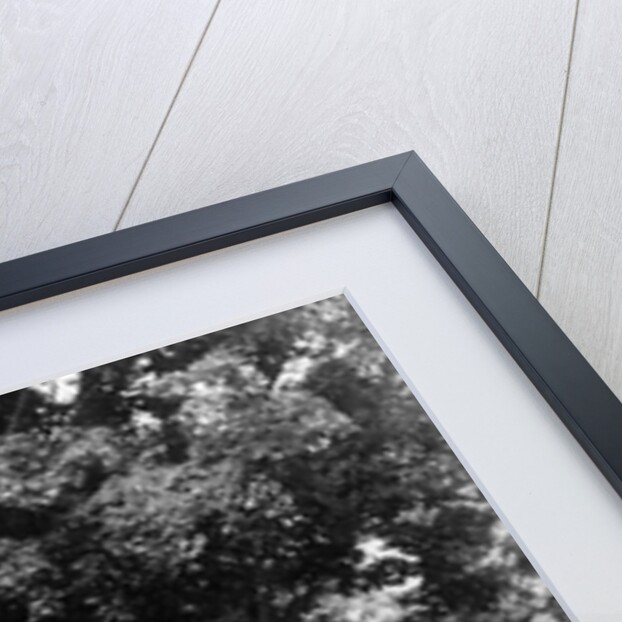 1940s boy with fishing gear collie dog second boy mowing grass with push mower by Anonymous