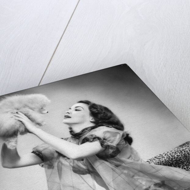 1950s young woman wearing sexy lingerie kneeling on leopard skin holding fluffy dog by Anonymous