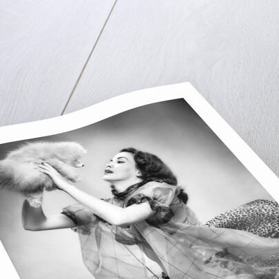 1950s young woman wearing sexy lingerie kneeling on leopard skin holding fluffy dog by Anonymous