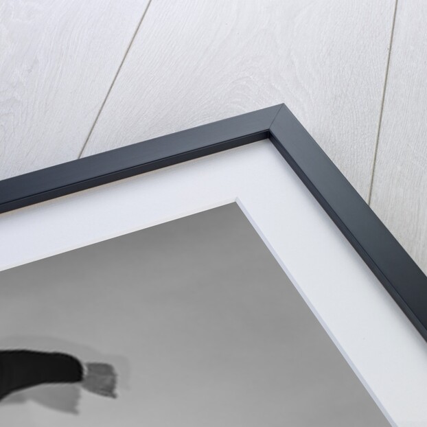 1950s baseball umpire calling sliding player out studio shot by Anonymous