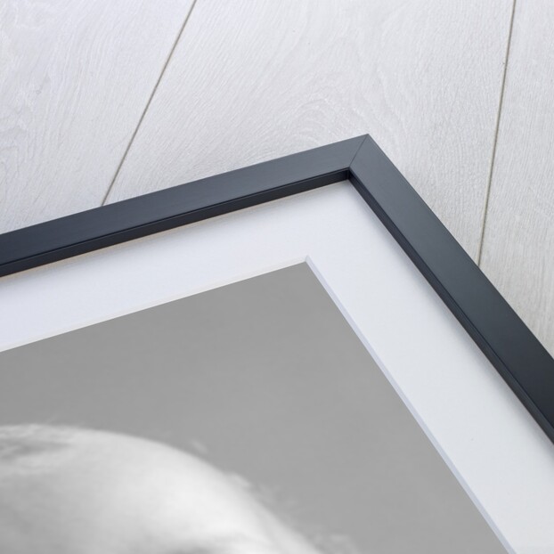 1960s baby wearing wire-rimmed granny glasses by Anonymous