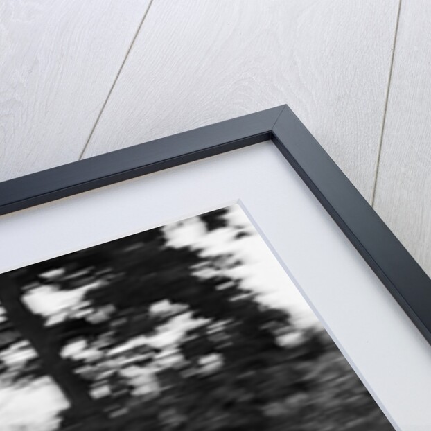 1970s teenage girl and boy riding bicycle built for two by Anonymous