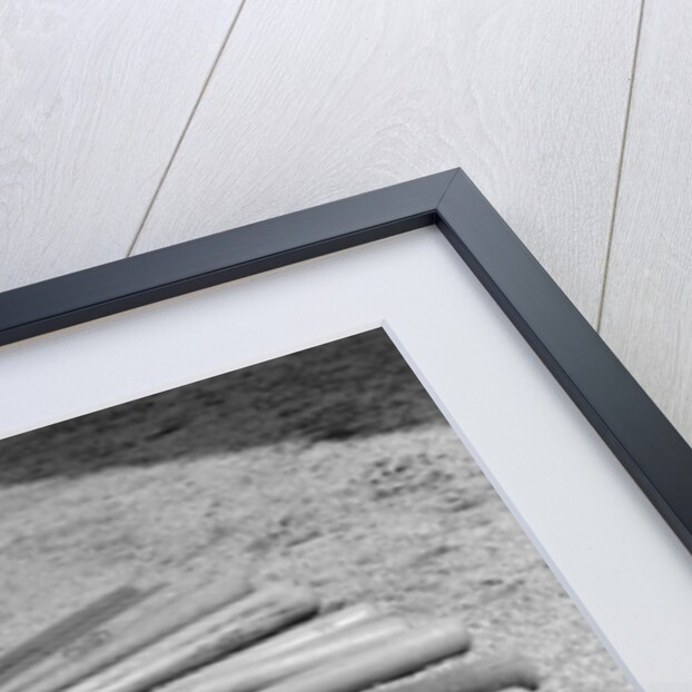 1950s baseball player selecting from a variety of bats by Anonymous