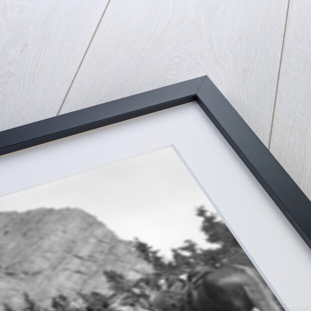 1920s 1930s two men and one woman eating a meal around a campfire with a tent and horses at baker lake alberta canada by Anonymous