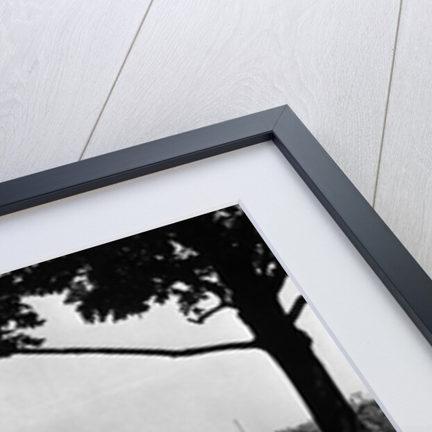 1930s 1940s family picnicking under a tree in fairmont park with skyline of philadelphia pa on horizon by Anonymous
