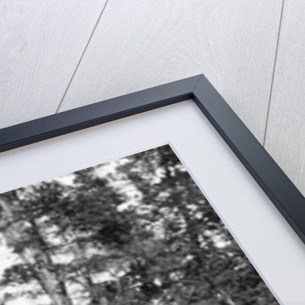 1920s 1930s couple in front of log cabin woman sitting on porch railing man on horse alberta canada by Anonymous