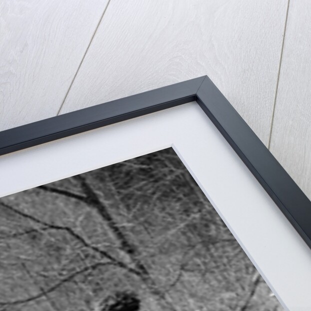 1920s 1930s man & woman camping by lake having picnic woman sitting man standing serving food to woman east creek swamp by Anonymous