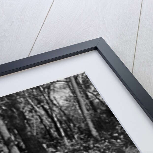 1930s three men at campsite one washing his face at tripod wash stand the other tending campfire lake of the woods ontario canada by Anonymous