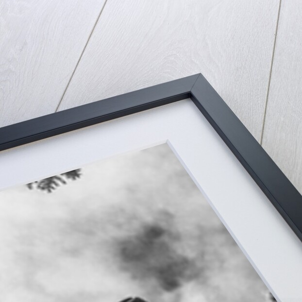 1920s 1930s man cowboy cook bending over campfire by Anonymous