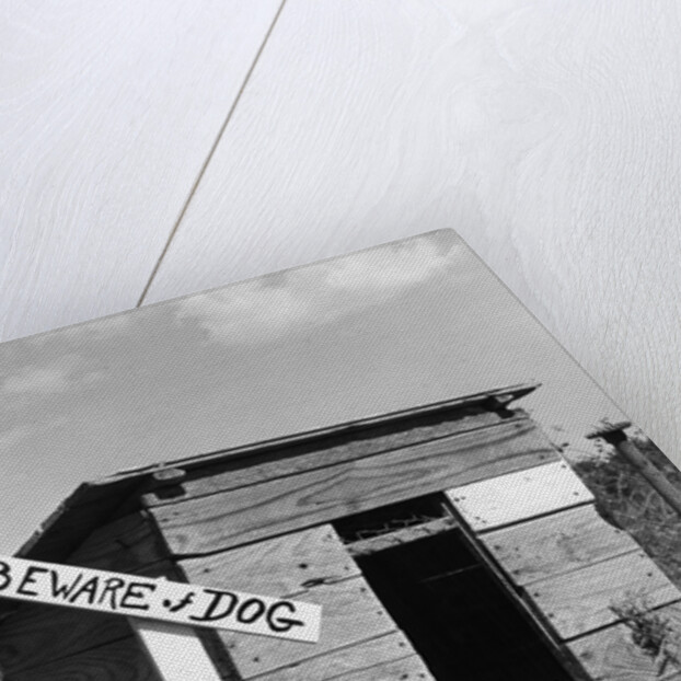 1950s cocker spaniel puppy in doghouse with beware of dog sign by Anonymous