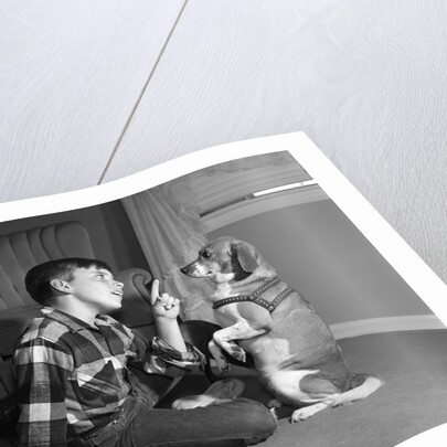 1950s boy in plaid shirt shaking finger at dog sitting up on rear legs by Anonymous