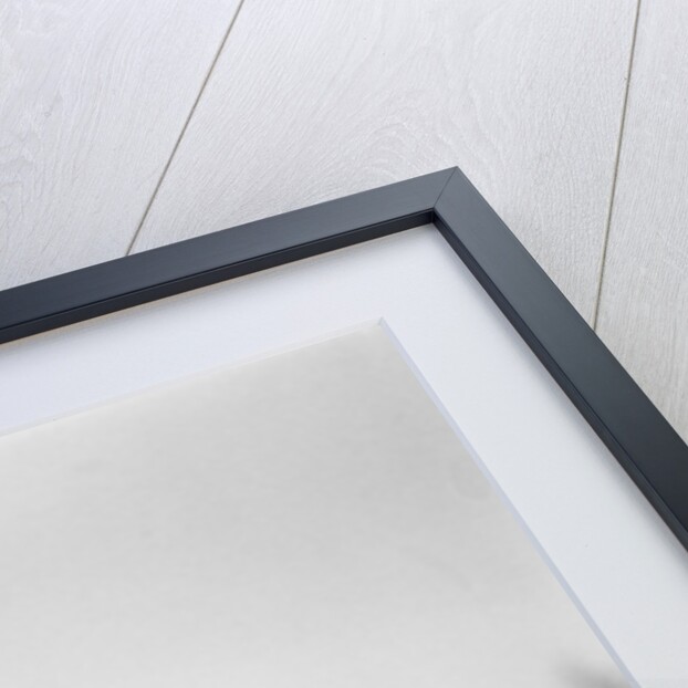 1920s english setter holding retrieved bird in mouth by Anonymous